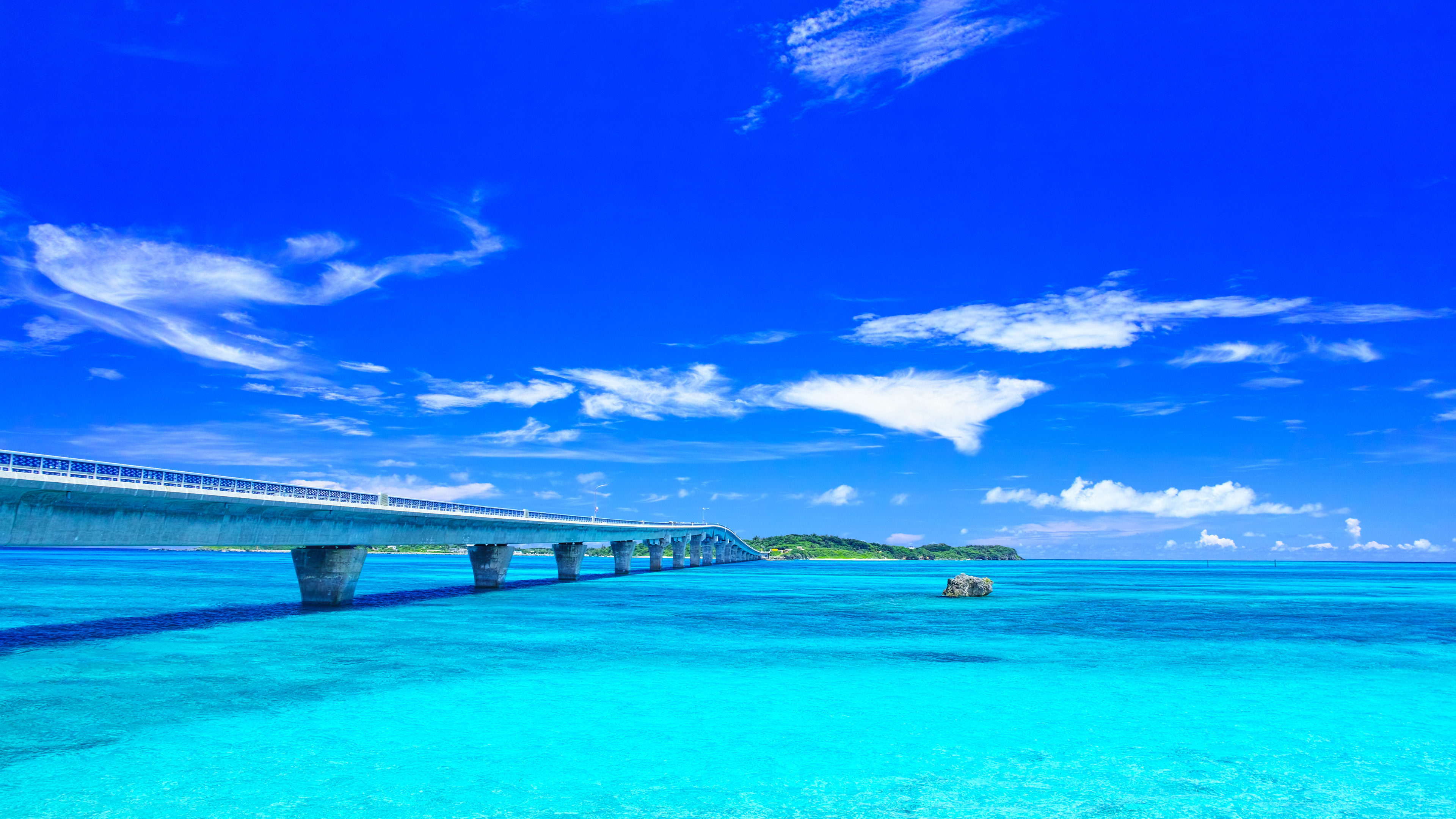 Cruise Brothers Travel Agent Sadekqua Shaw